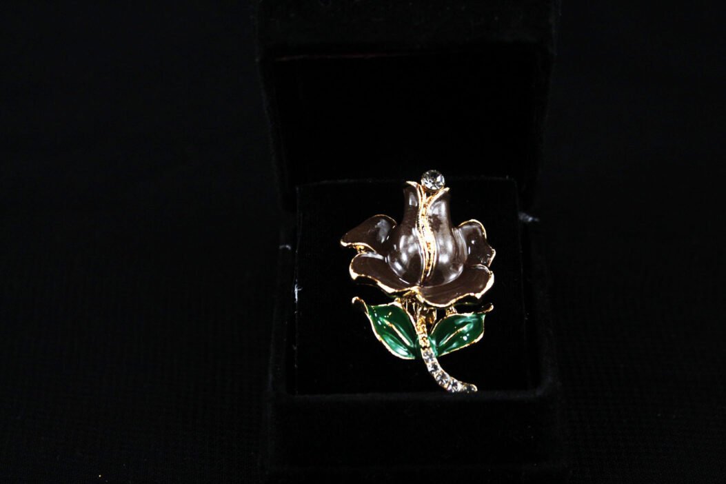 scarf pin and brooch